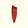 THE ORIGINAL CANDIED SALMON